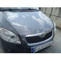 SKODA FABIA II (542)
