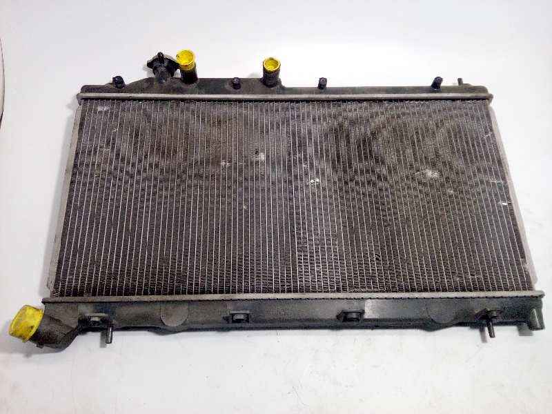 RADIADOR AGUA 45119AG080 