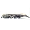 Recambio de faro derecho para peugeot 407 st confort referencia OEM IAM 9641939880 620690 0301213202