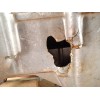 Recambio de motor completo para toyota avensis station wagon (_t27_) 1.8 (zrt271_) referencia OEM IAM 2ZR 2ZRFAE 