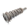 Recambio de amortiguador trasero izquierdo para subaru outback (b15) 2.0 diesel cat referencia OEM IAM 20365AL030  