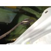 Recambio de puerta trasera derecha para land rover discovery iii (l319) 2.7 td 4x4 referencia OEM IAM BFA780180 5H2224630CB 