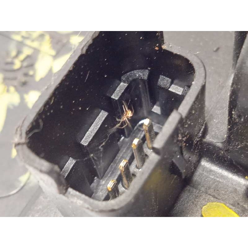 Recambio de cerradura puerta trasera derecha para renault laguna iii authentique referencia OEM IAM 825000002R  