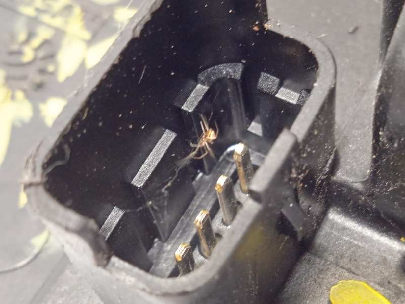 Recambio de cerradura puerta trasera derecha para renault laguna iii authentique referencia OEM IAM 825000002R  