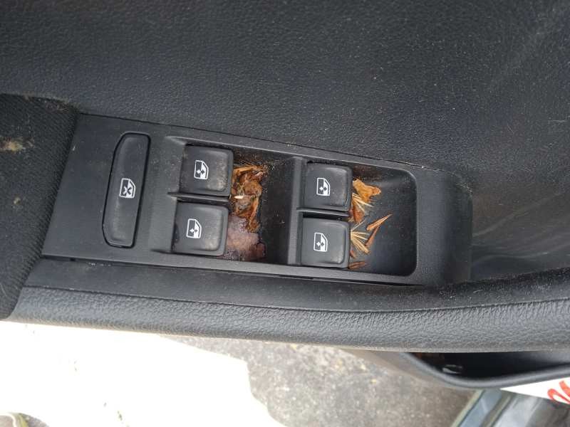 skoda fabia combi del año 2020