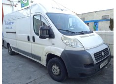 fiat ducato caja cerrada 33, techo elevado (06.2006) del año 2012