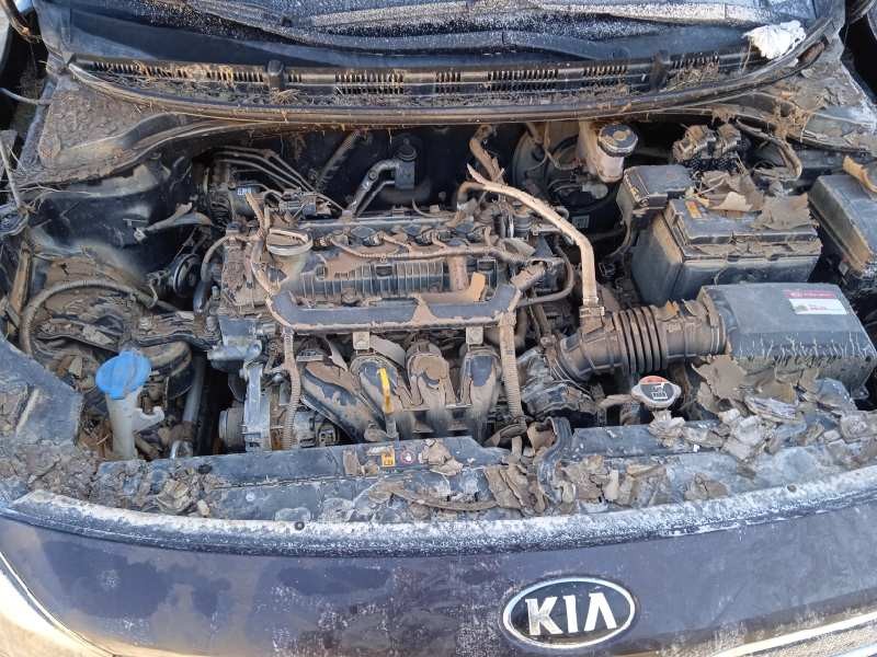 kia rio (yb) del año 2017