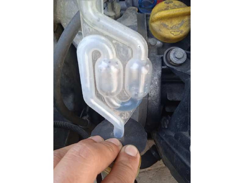 lancia musa (184) del año 2006