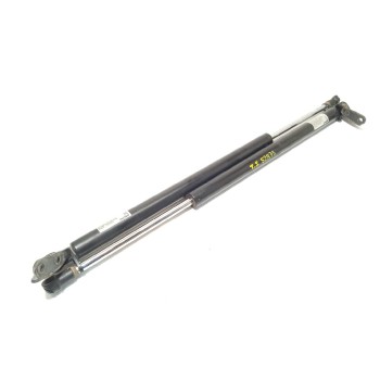 AMORTIGUADORES MALETERO / PORTON EG2162620C EG2163620C