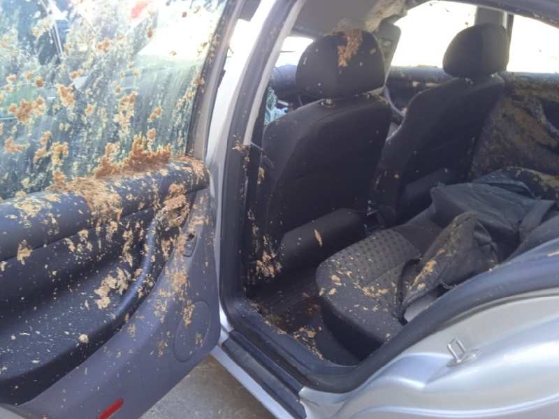 seat leon (1m1) del año 2000