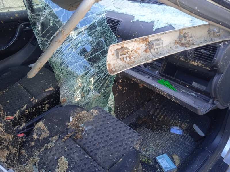 seat leon (1m1) del año 2000