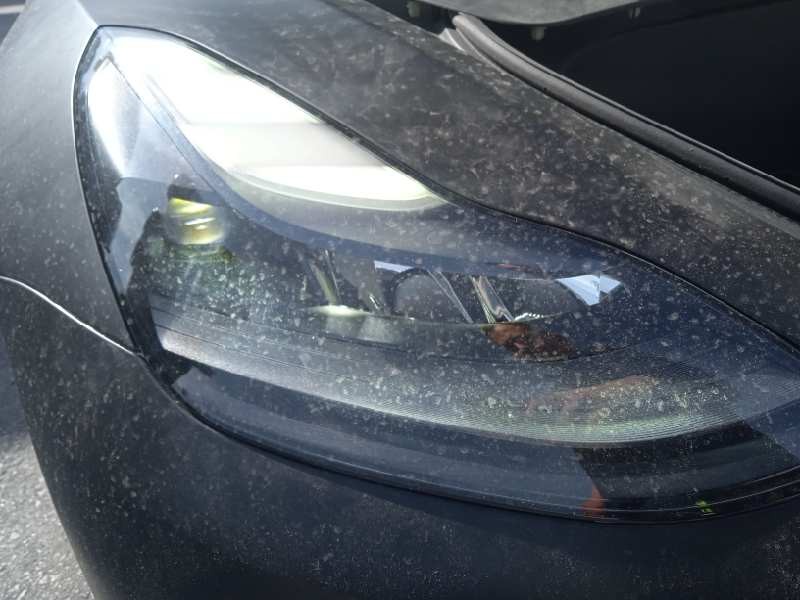 tesla model 3 del año 2021