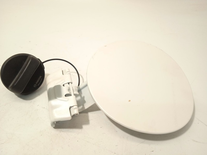 TAPA EXTERIOR COMBUSTIBLE D10E42410 