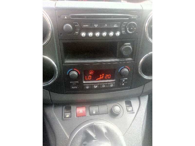 citroën berlingo cuadro del año 2010