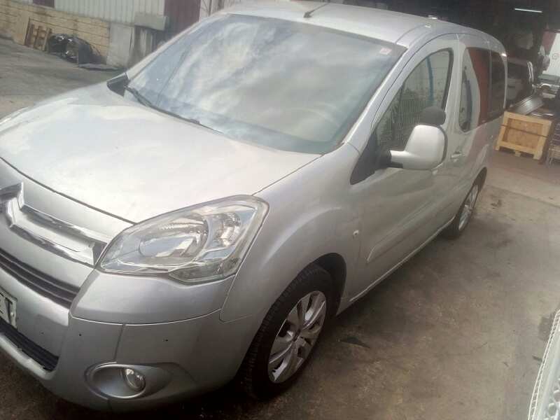 citroën berlingo cuadro del año 2010