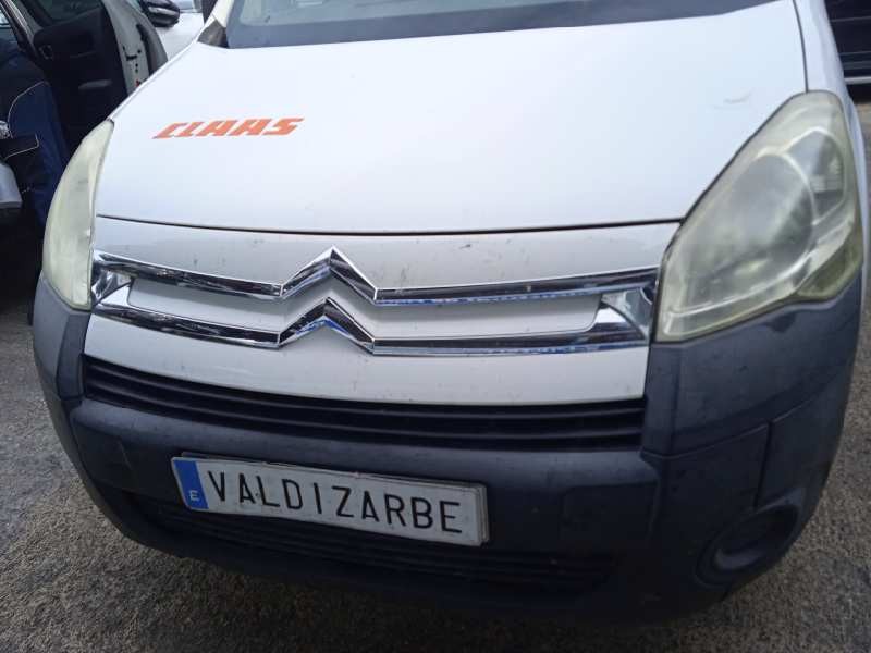 citroën berlingo cuadro del año 2010