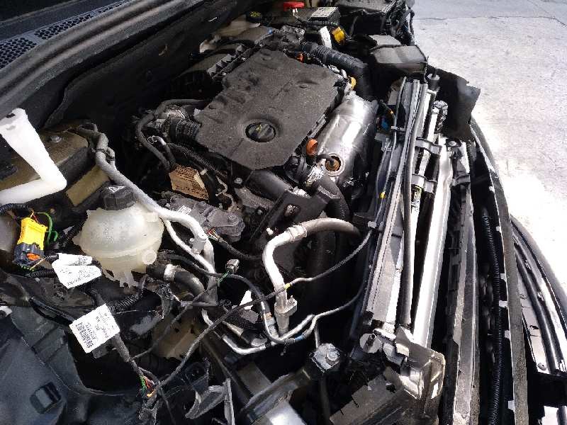 citroën berlingo del año 2019