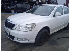 SKODA OCTAVIA BERLINA (1Z3)