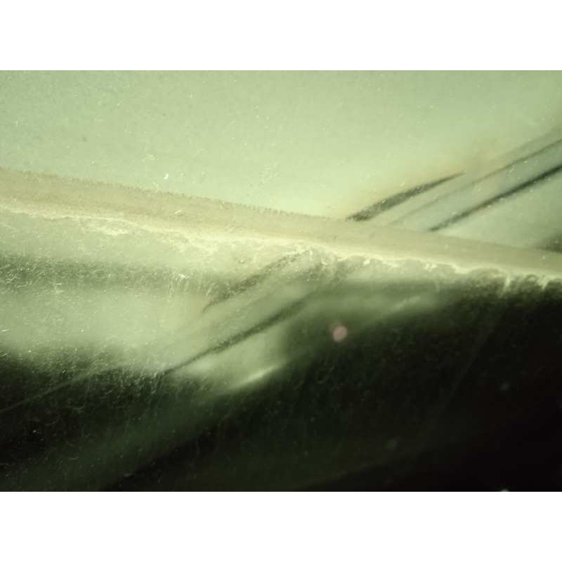 Recambio de puerta trasera izquierda para jaguar xf 3.0 v6 diesel cat referencia OEM IAM C2Z2014  8X23F24631AB