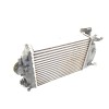 Recambio de intercooler para renault scénic iv (j9_) 1.5 dci 110 referencia OEM IAM 144614EA1A  