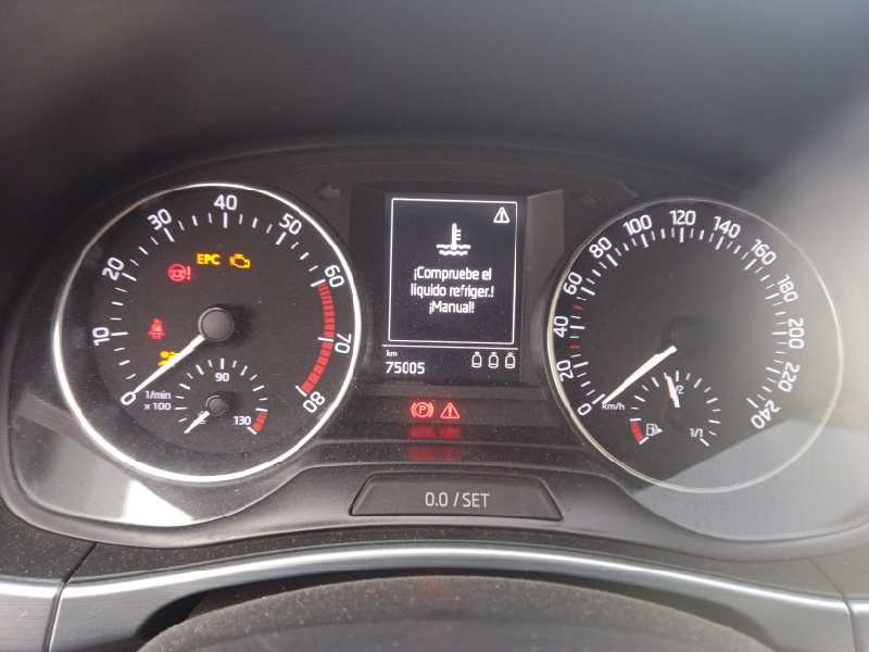 skoda fabia del año 2018