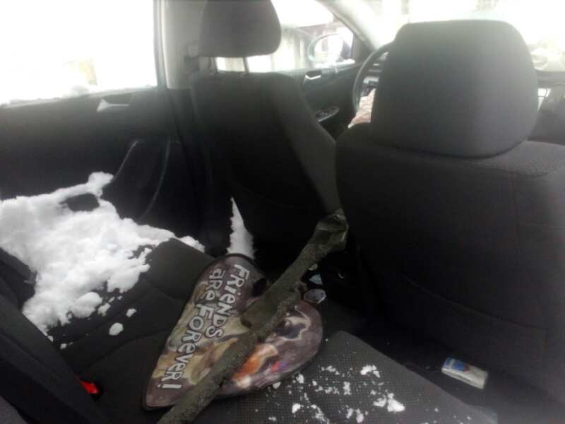 volkswagen passat berlina (3c2) del año 2009