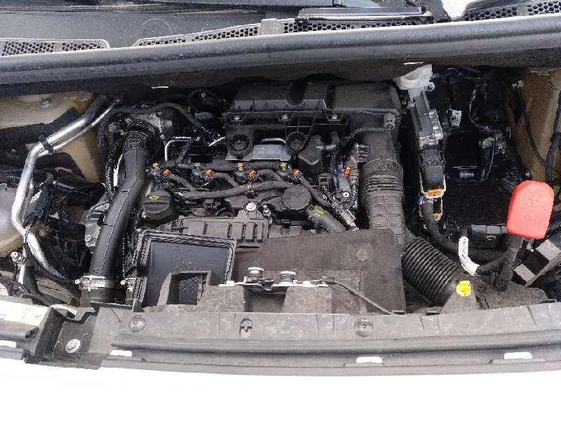 citroën berlingo del año 2019