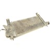 Recambio de intercooler para nissan pathfinder iii (r51) 2.5 dci 4wd referencia OEM IAM 14461EB360  