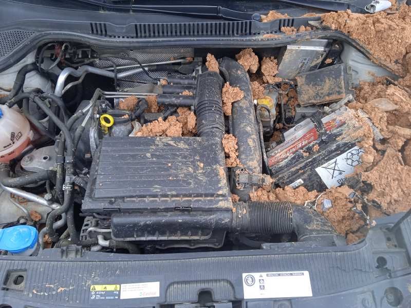 seat ibiza (6p1) del año 2017