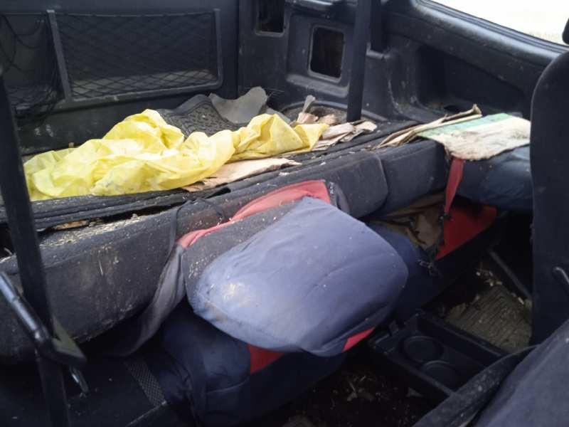 nissan terrano/terrano.ii (r20) del año 2005