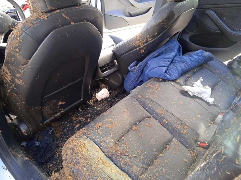 tesla model 3 del año 2021