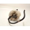 Recambio de bomba combustible para chrysler voyager iv (rg, rs) 3.3 awd referencia OEM IAM 5127562AA  721AB20531087