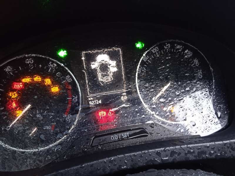 skoda rapid del año 2017