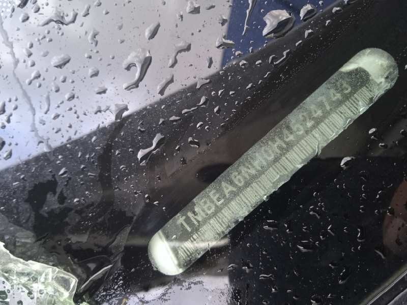 skoda rapid del año 2017