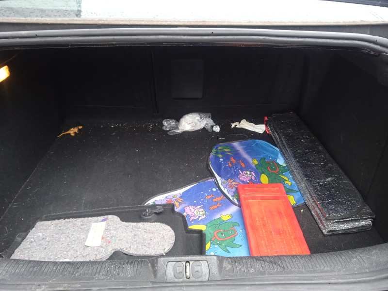 peugeot 407 del año 2009