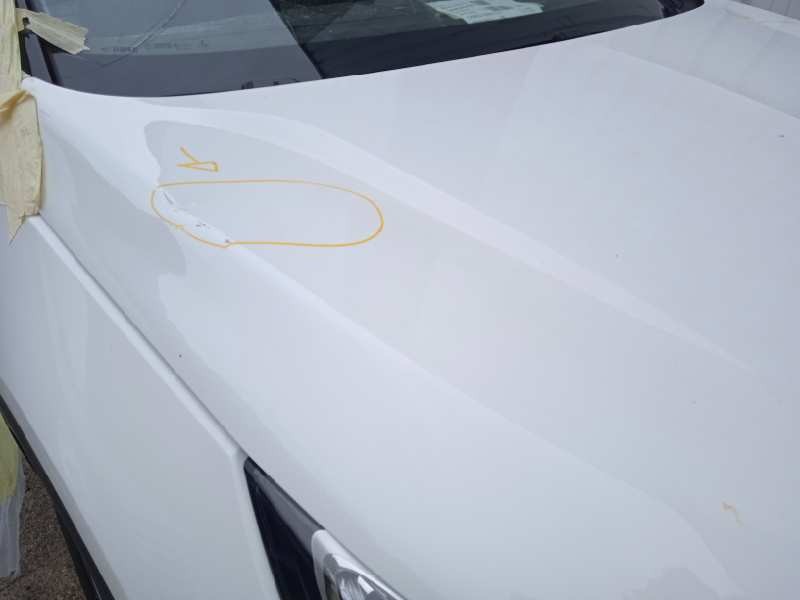 opel grandland x del año 2021