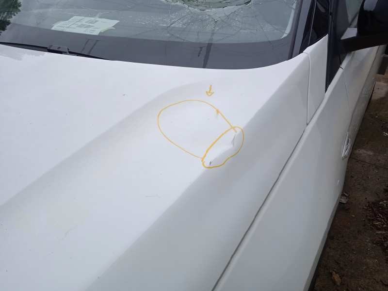 opel grandland x del año 2021