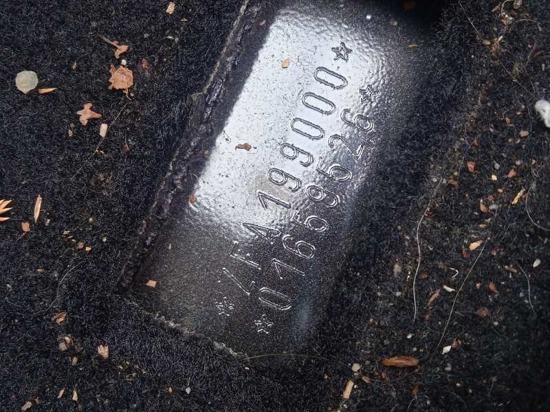 fiat punto (evo) (199) del año 2010