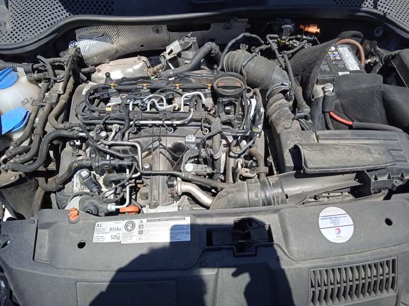 volkswagen beetle del año 2014