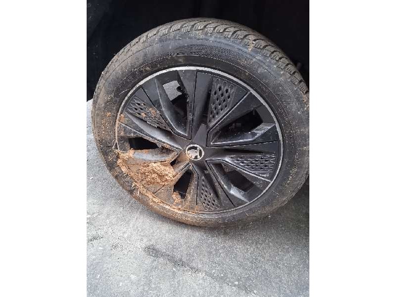 skoda karoq (nu) del año 2023