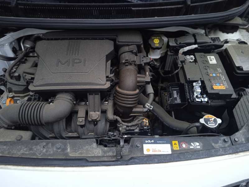 kia picanto (ja) del año 2023