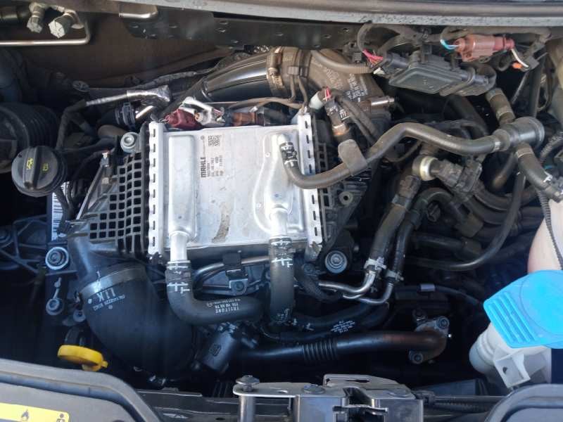 volkswagen t6.1 caravelle (sh) del año 2022