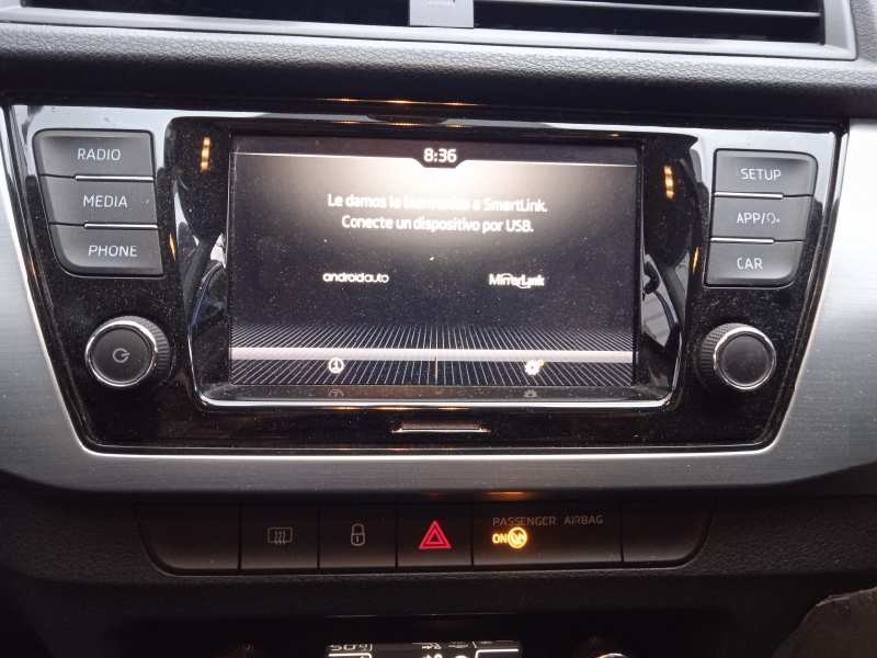 skoda fabia familiar del año 2019