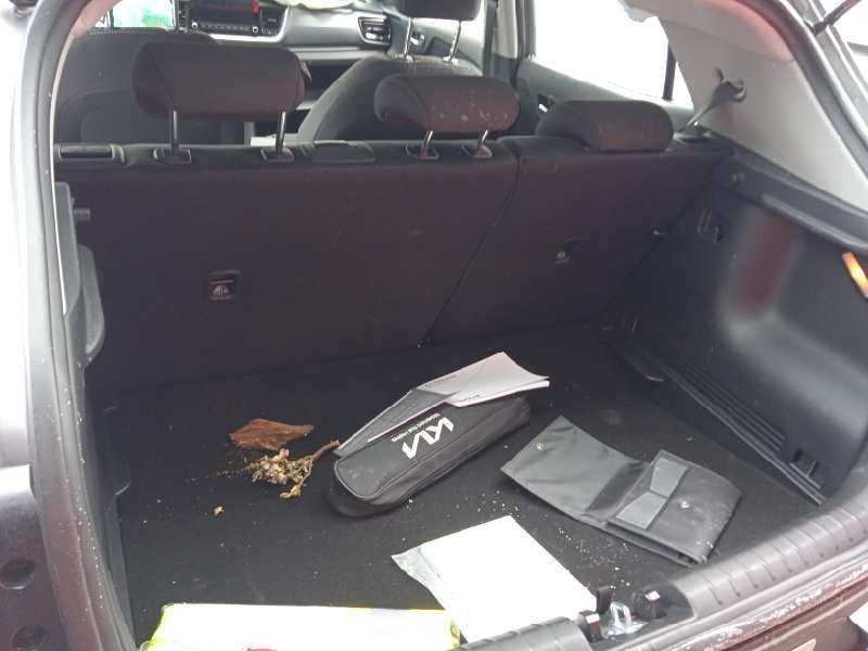 kia stonic (ybcuv) del año 2023