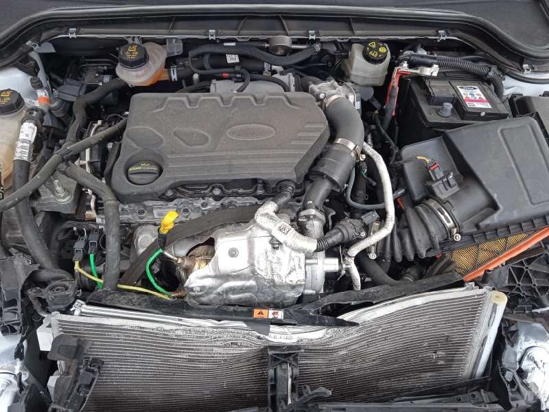 ford focus del año 2022