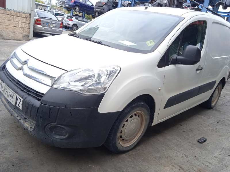 citroën berlingo cuadro del año 2010