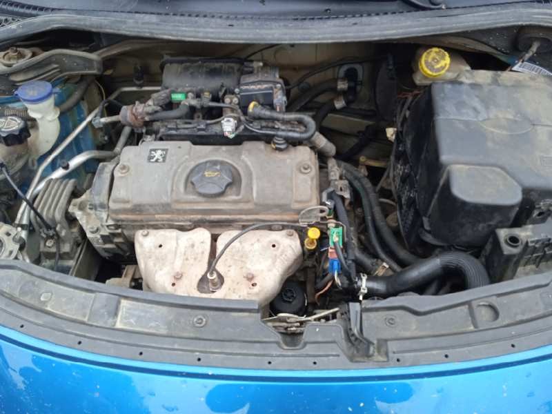 peugeot 207 del año 2007