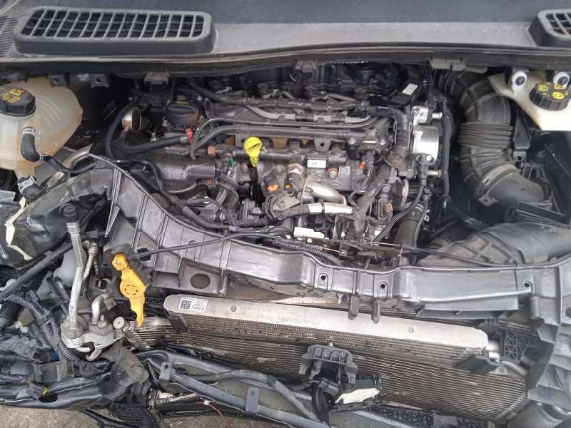 ford kuga (cbs) del año 2019