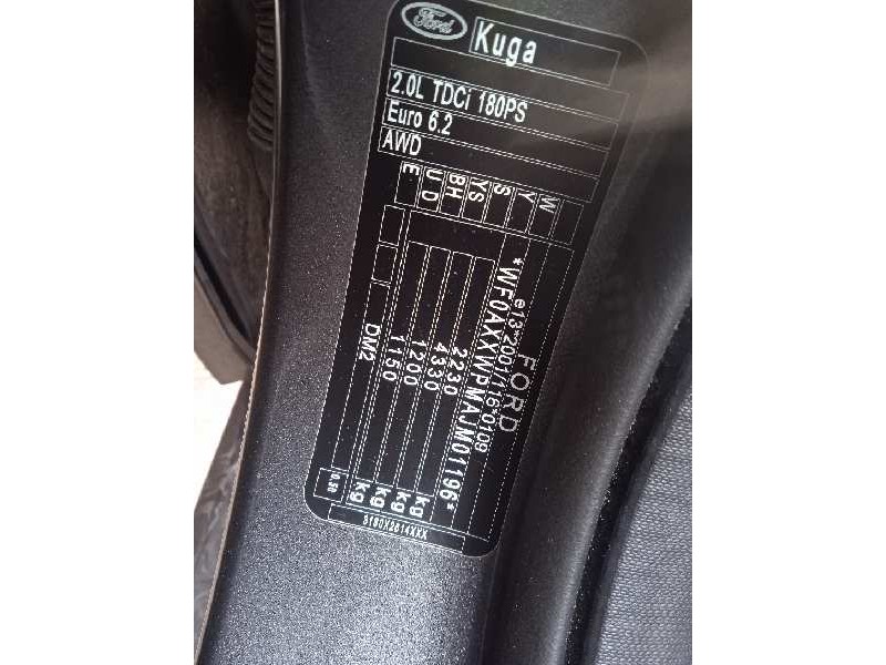 ford kuga (cbs) del año 2019