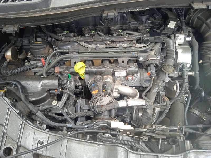 ford kuga (cbs) del año 2019